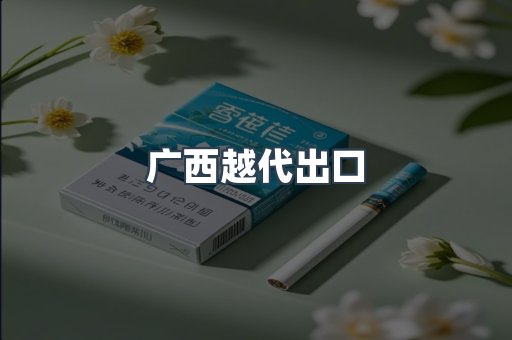 广西越代出口